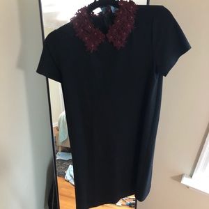 Auqua dress with adorable collar